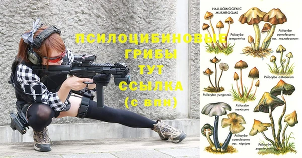 PSILOCYBIN Абинск