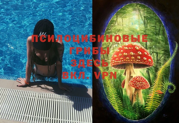 мет Абаза